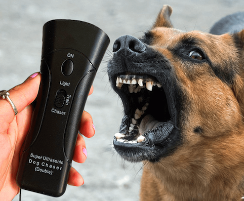 PetZenPro_square